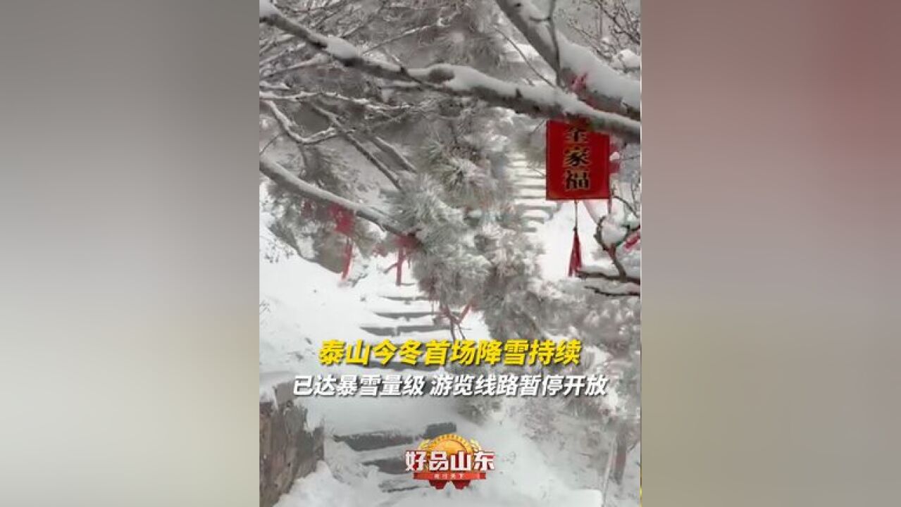 11月25日,山东泰安,泰山今冬首场降雪持续,已达暴雪量级.目前,泰山景区各游览线路暂停开放,恢复开放时间另行通告.