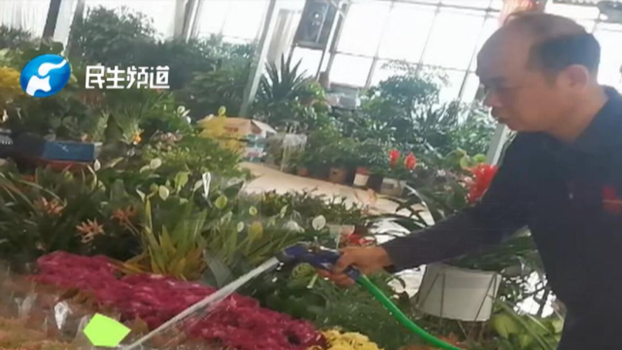 河南郑州:花卉市场关闭,热心人充当“护花使者”,义务帮商户浇花