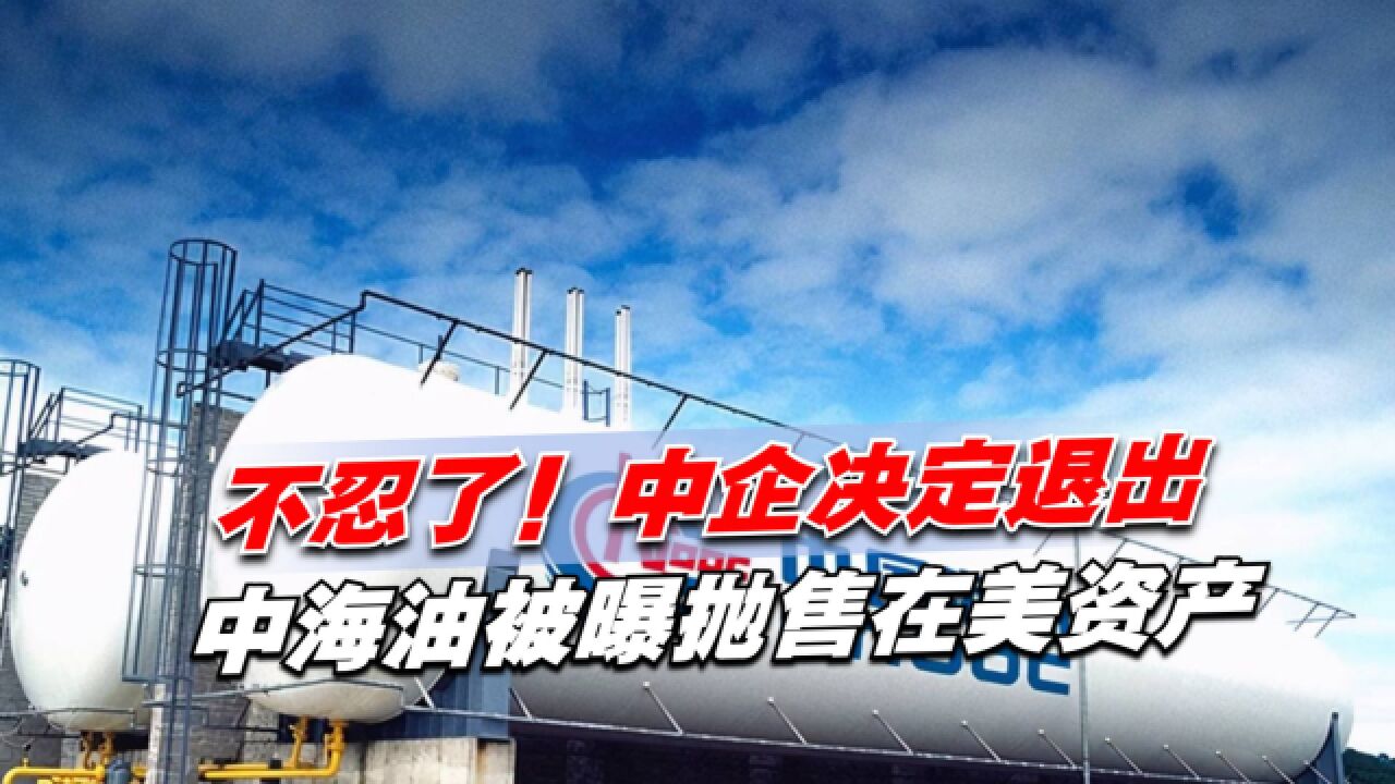 不忍了!中企决定退出,中海油被曝抛售在美资产,防止被“抢劫”