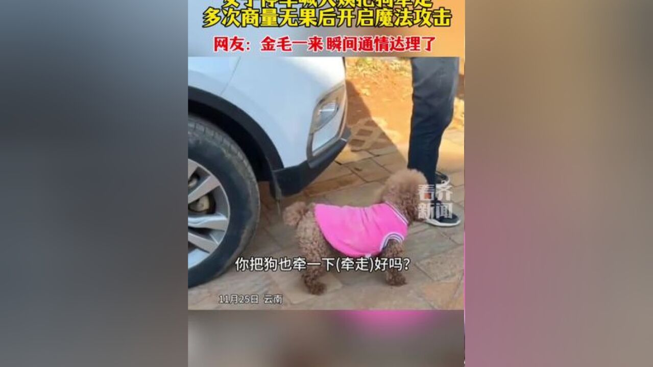 女子停车喊阿姨把狗牵走无果后放出自家金毛