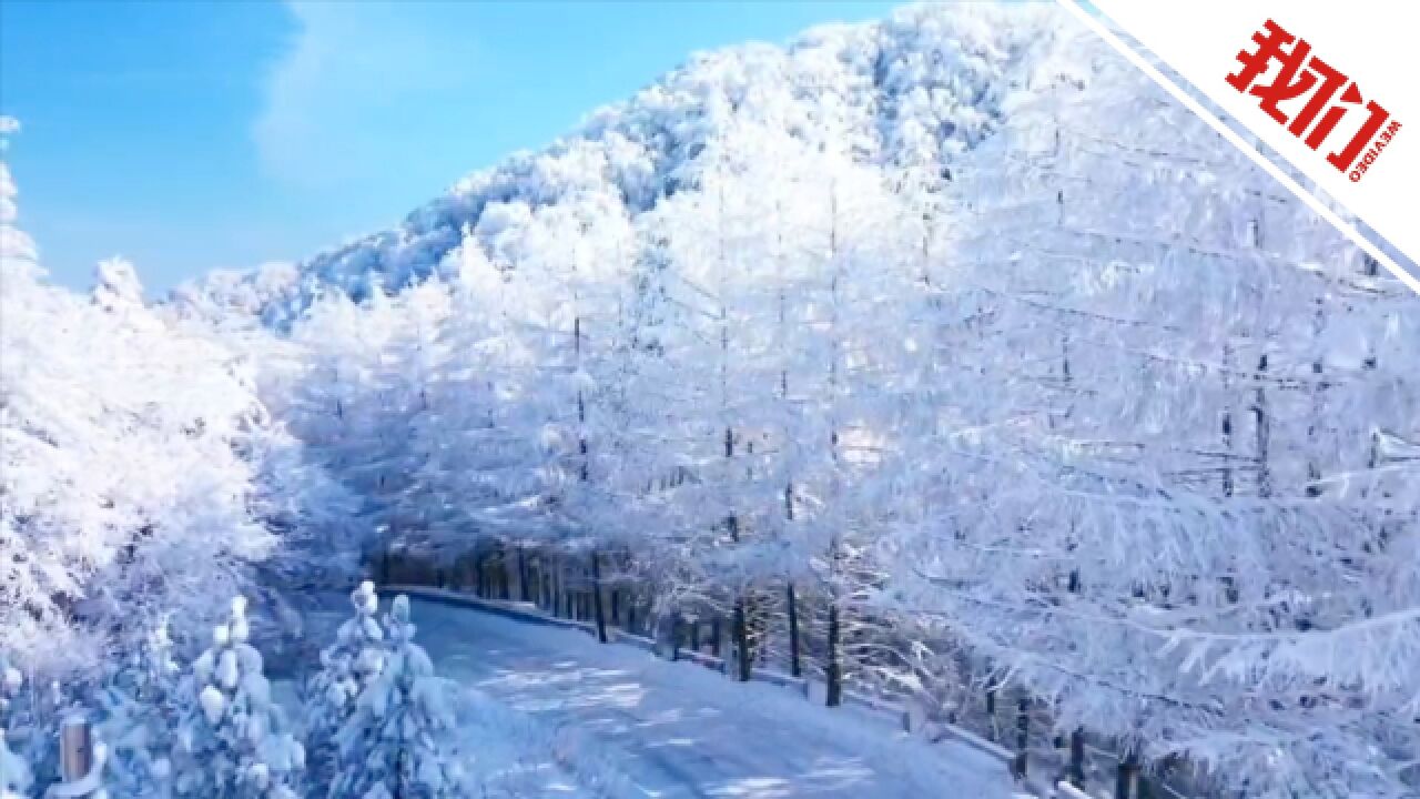 西安分水岭迎来今年第二场雪 冰雪世界一片银装素裹场面惊艳