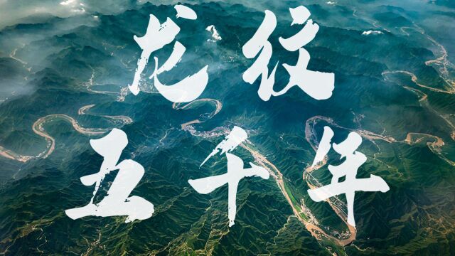 【中国纹样之美】五千年龙纹的变与不变