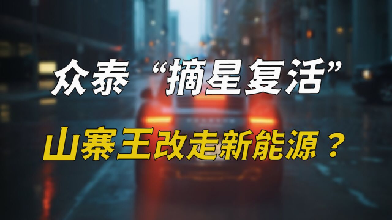 众泰汽车“摘星复活”,山寨王改走新能源?