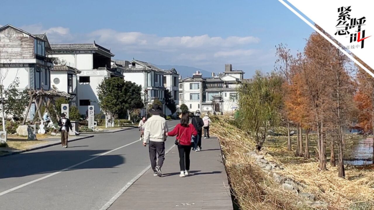 大理民宿春节预订涨10倍:约6000间住满 如游客感染房价会优惠