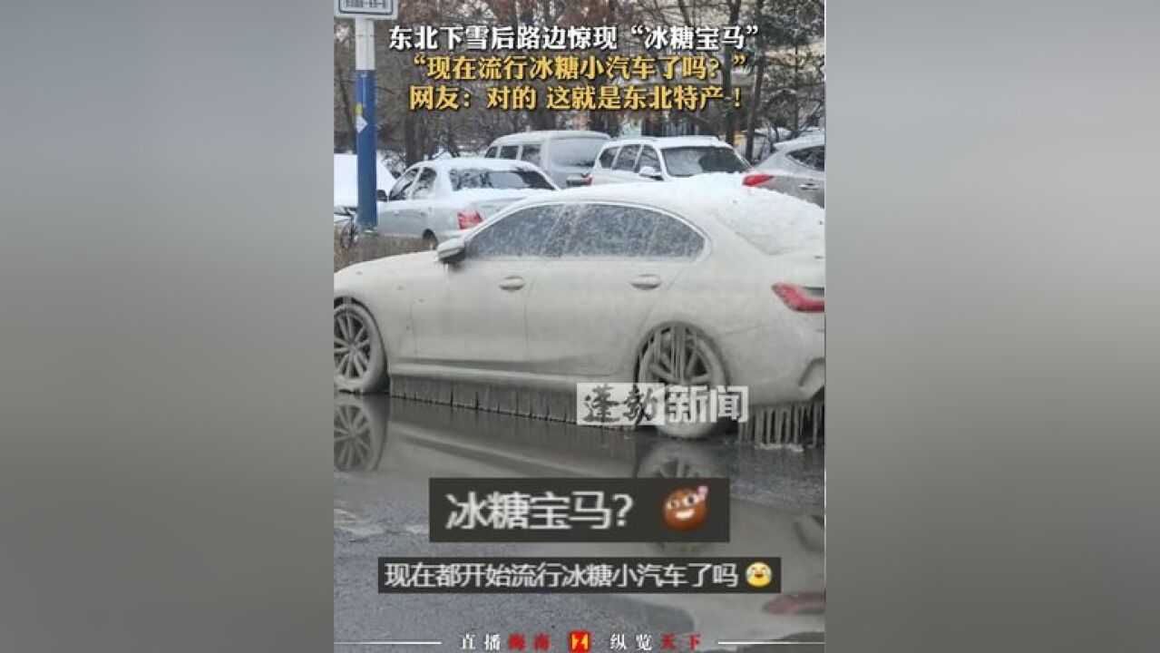 东北下雪后路边惊现“冰糖宝马”,“现在流行冰糖小汽车了吗?”网友:对的 这就是东北特产!