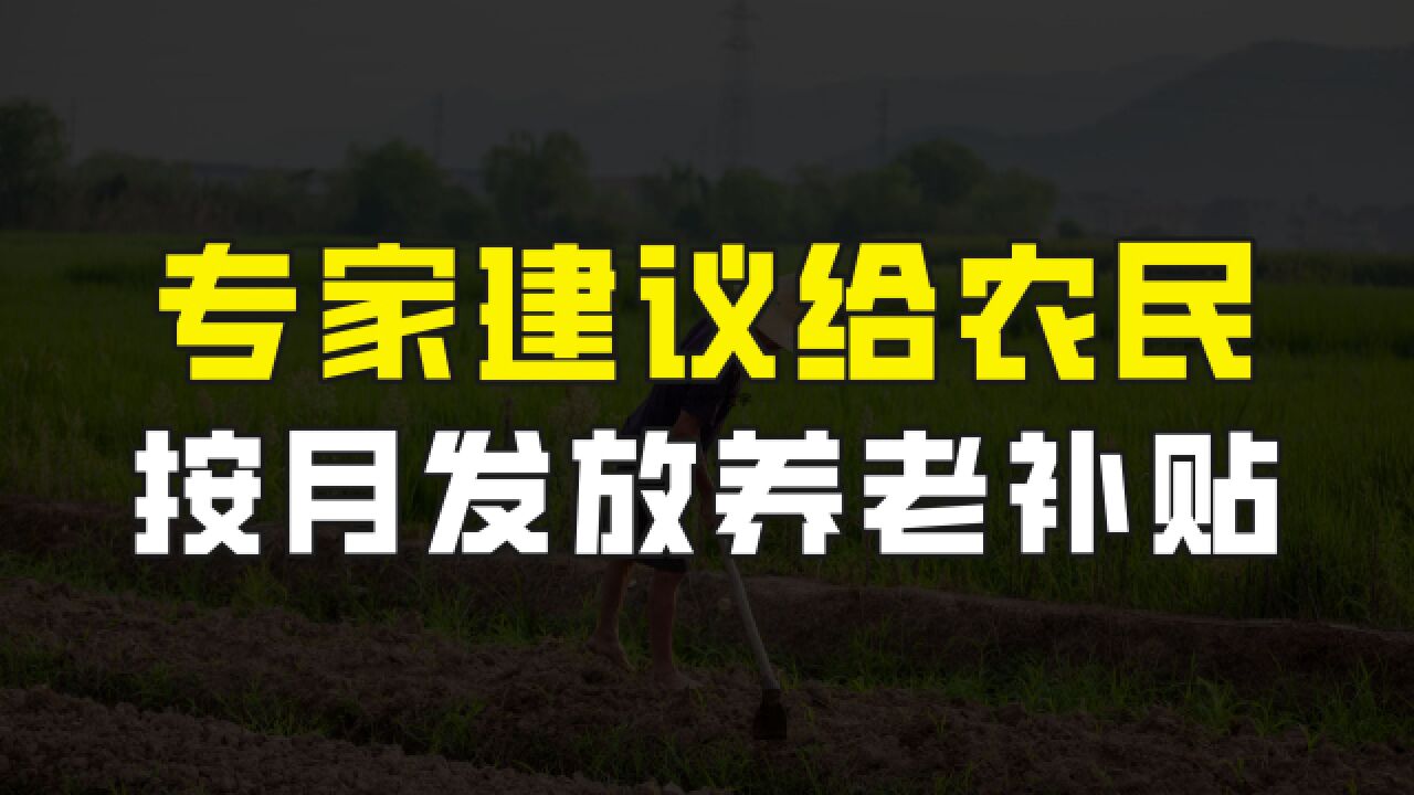 又有人替农民说话了,专家提出建议,给农村老人按月发放养老补贴