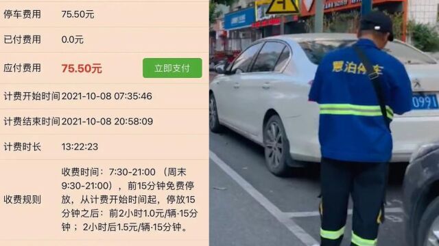 道路停车一天近百元?南宁深夜再回应停车收费问题:成立专项小组