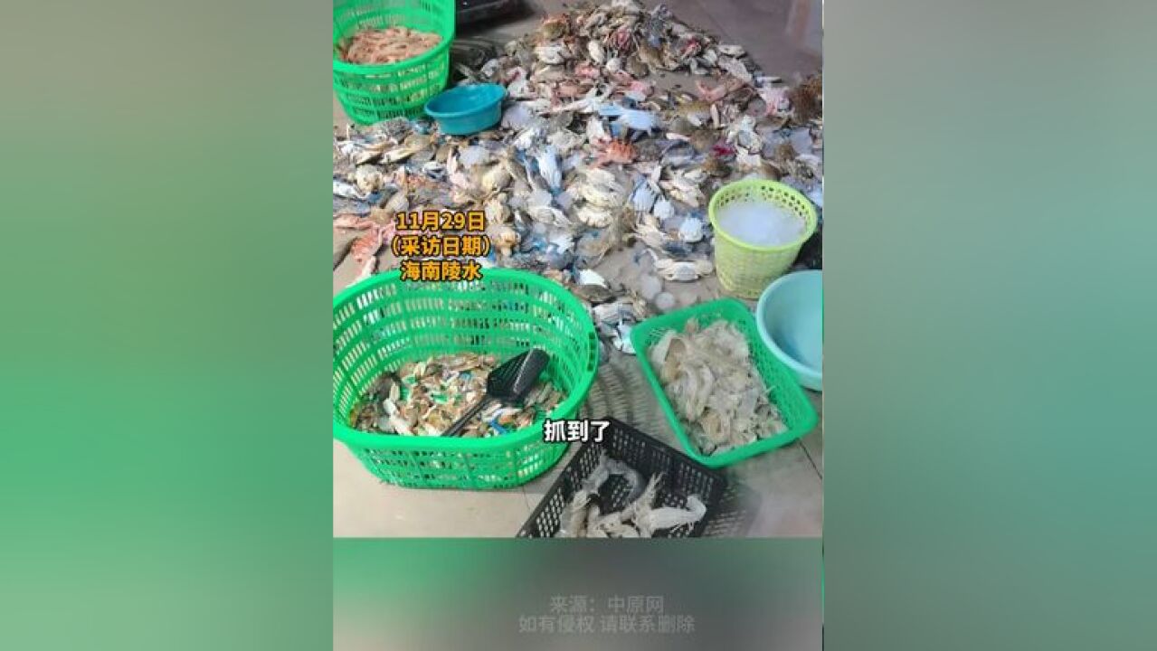 海鲜档口被同行投放不明液体...已报警