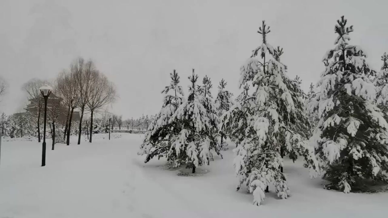 河北张家口迎来四月飞雪 张北发布暴雪红色预警