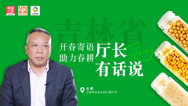 厅长有话说丨麦朝:护好吉林黑土地 端稳“中国饭碗”