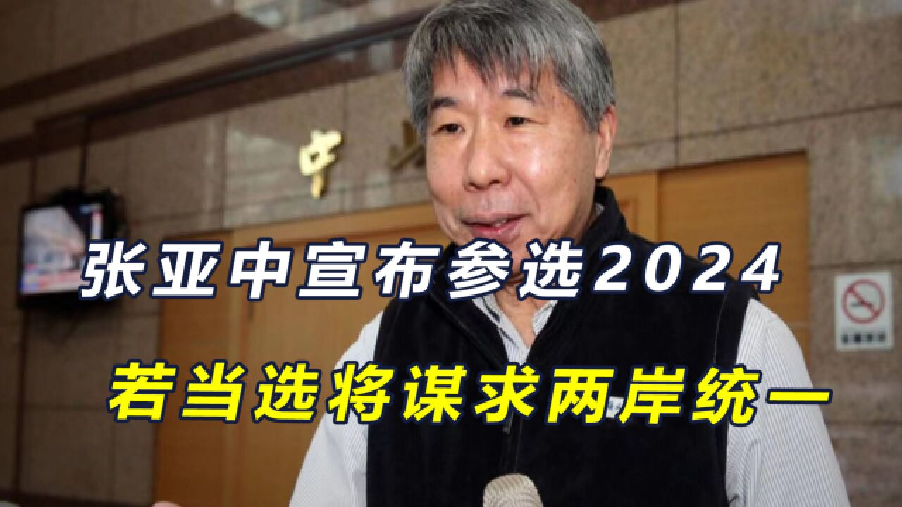 张亚中抛出2024竞选理念:将谋求两岸统一,并建立“非战和平区”