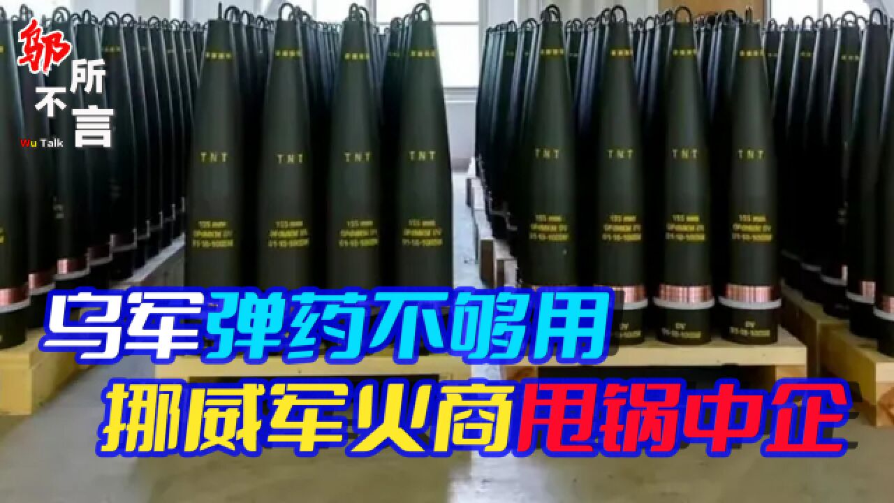 挪威军火商:生产炮弹不够给乌军用,就怪中资公司耗电大