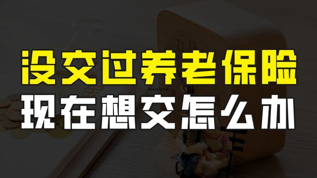 一直没有缴纳过养老保险,现在想交社保了,应该怎么办?