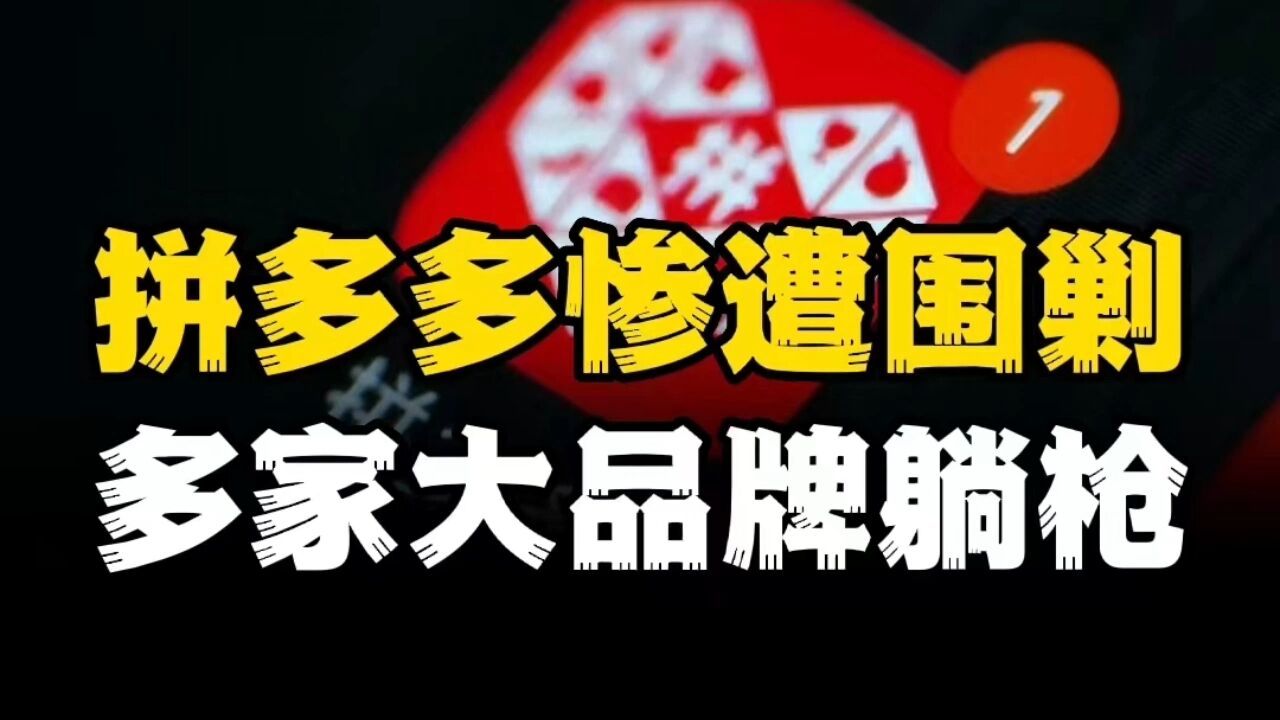 拼多多惨遭围剿,官方被逼下架,几十家品牌遭炸店,谁是推手?