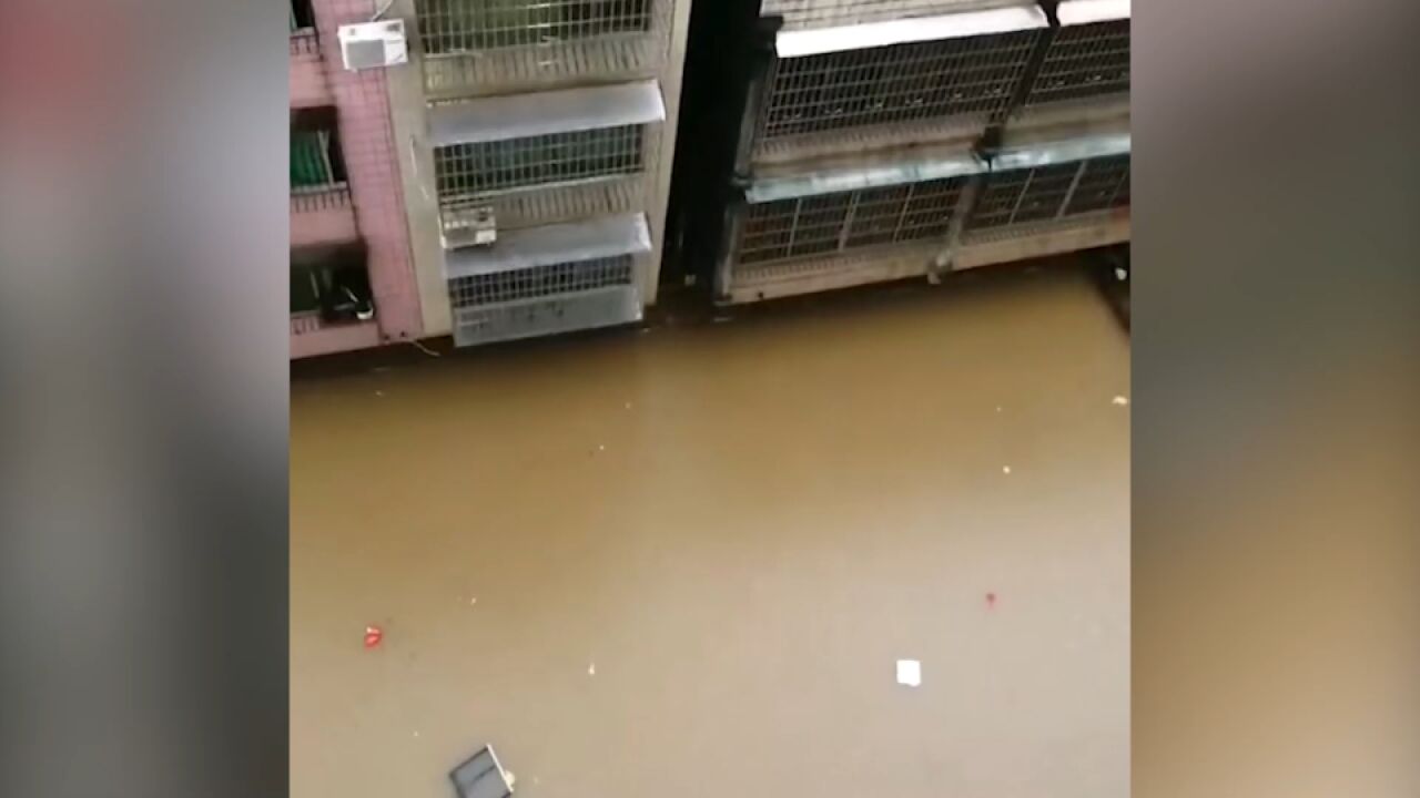 广东英德暴雨致市区积水,市应急局:监控中,未到洪水程度