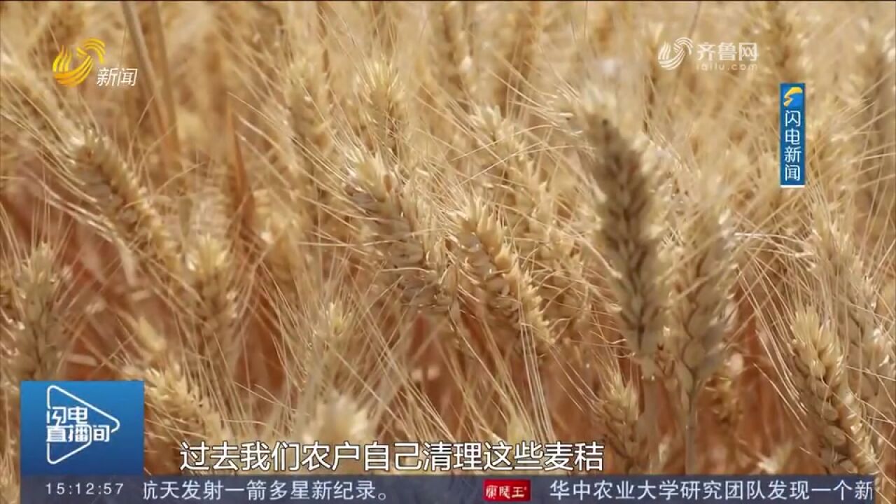 变废为宝!鱼台:30万亩小麦全部实施秸秆打捆离田,环保又增收