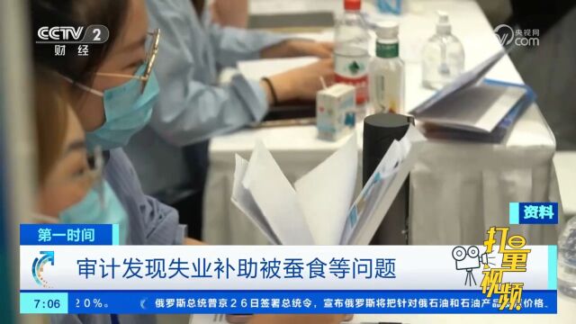 在促进就业资金审计方面,审计署发现失业补助被蚕食等问题