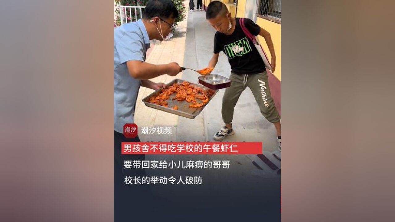 男孩舍不得吃学校午餐的虾仁,要带回家给小儿麻痹症的哥哥吃,网友:最懂事的弟弟令人破防