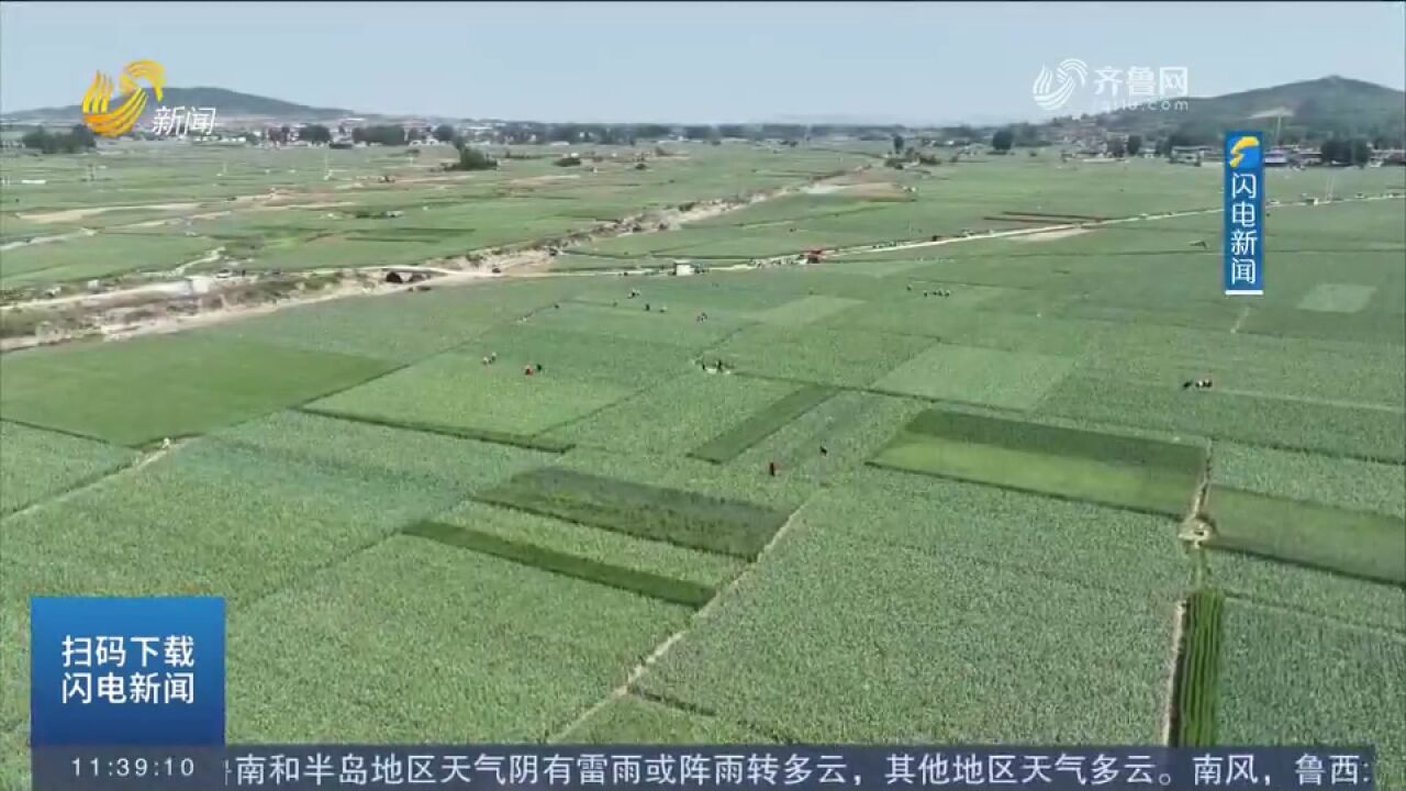 临沂:建立和完善区域再生水循环利用体系,实现“三水共治”