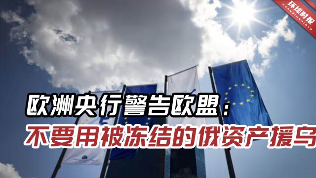 欧洲央行警告欧盟:用冻结的俄资产援乌,只会发出“糟糕的信号”