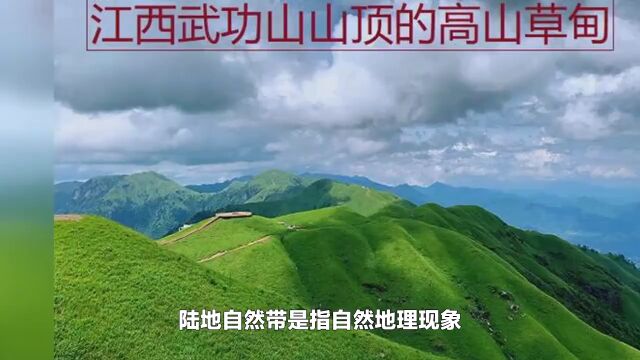 为什么江西武功山山顶分布着连片的高山草甸?