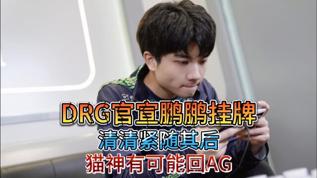 DRG官宣鹏鹏挂牌,清清紧随其后,猫神有可能回AG