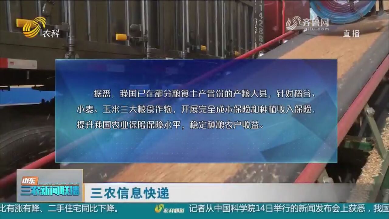 财政部等部门:三大粮食作物完全成本保险覆盖全国所有产粮大县