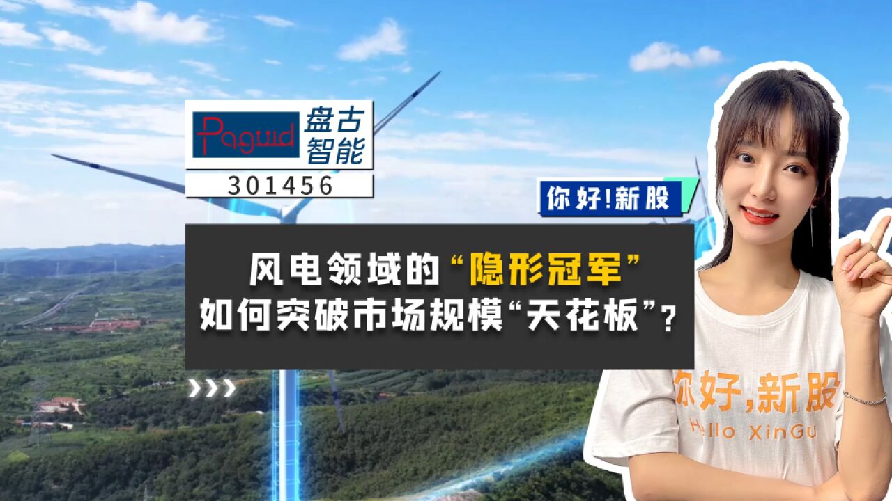 盘古智能:风电领域的“隐形冠军”,如何突破市场规模“天花板”?