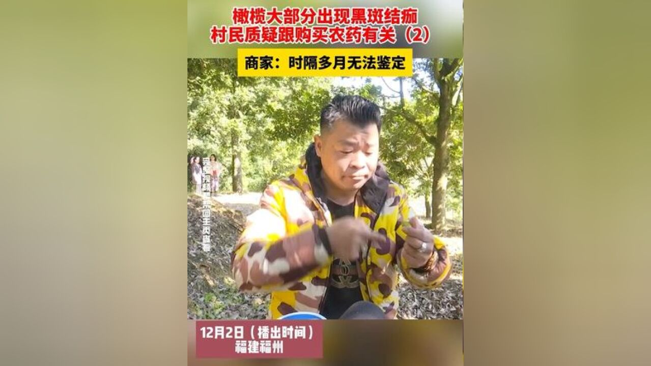 橄榄大部分出现黑斑结痂,村民质疑跟购买农药有关,商家:时隔多月无法鉴定