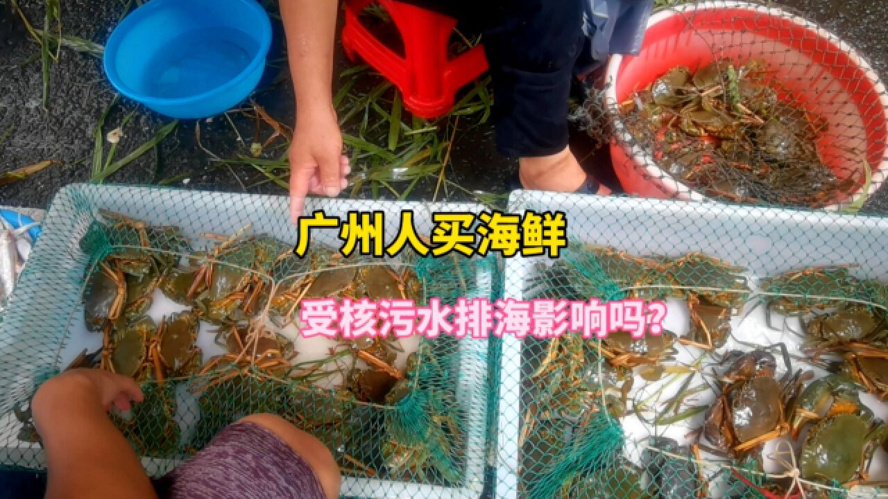 早秋逛广州海鲜市场,在国家级渔港旁,受日本核污水排放影响吗?