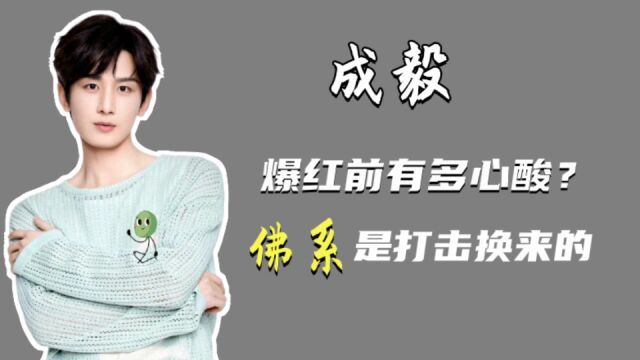 成毅:出道13年跑了10年龙套,被公司当摇钱树,新剧疑被防爆