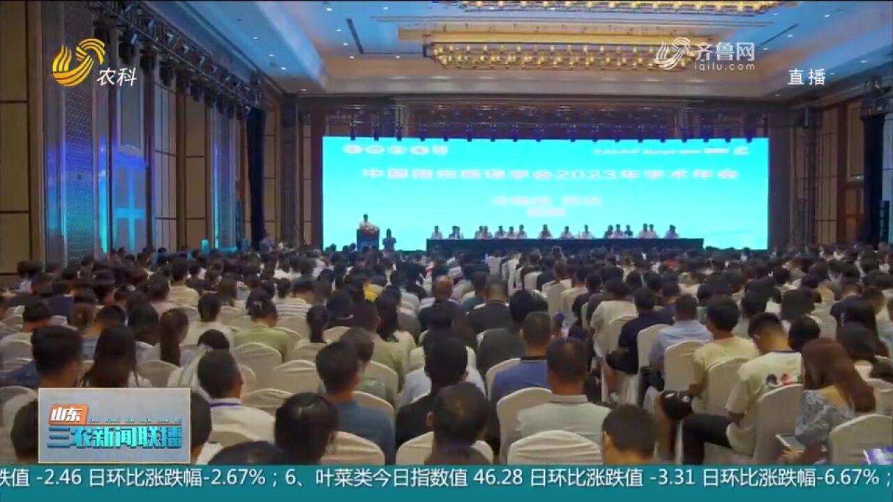 中国植物病理学会2023年学术年会在泰安召开,2500多名代表参会