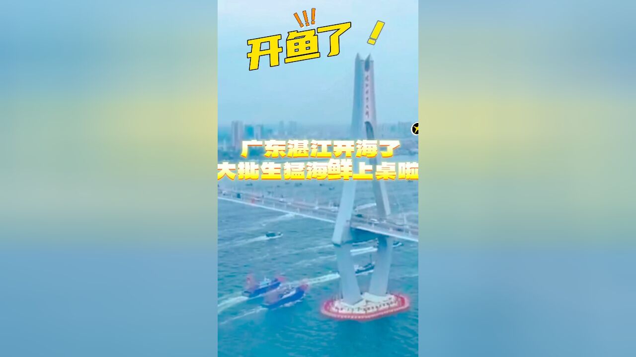 开鱼了!广东湛江开海了,大批生猛海鲜上桌啦!