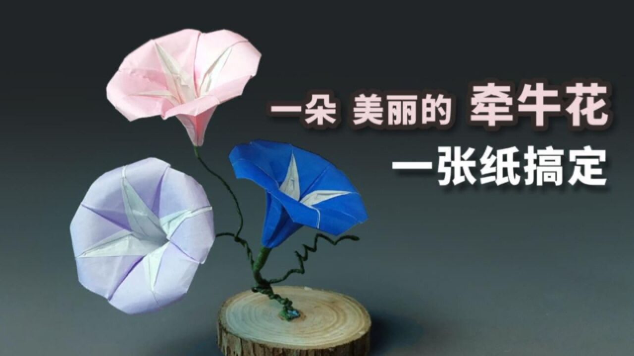 【折纸】一朵美丽的牵牛花!