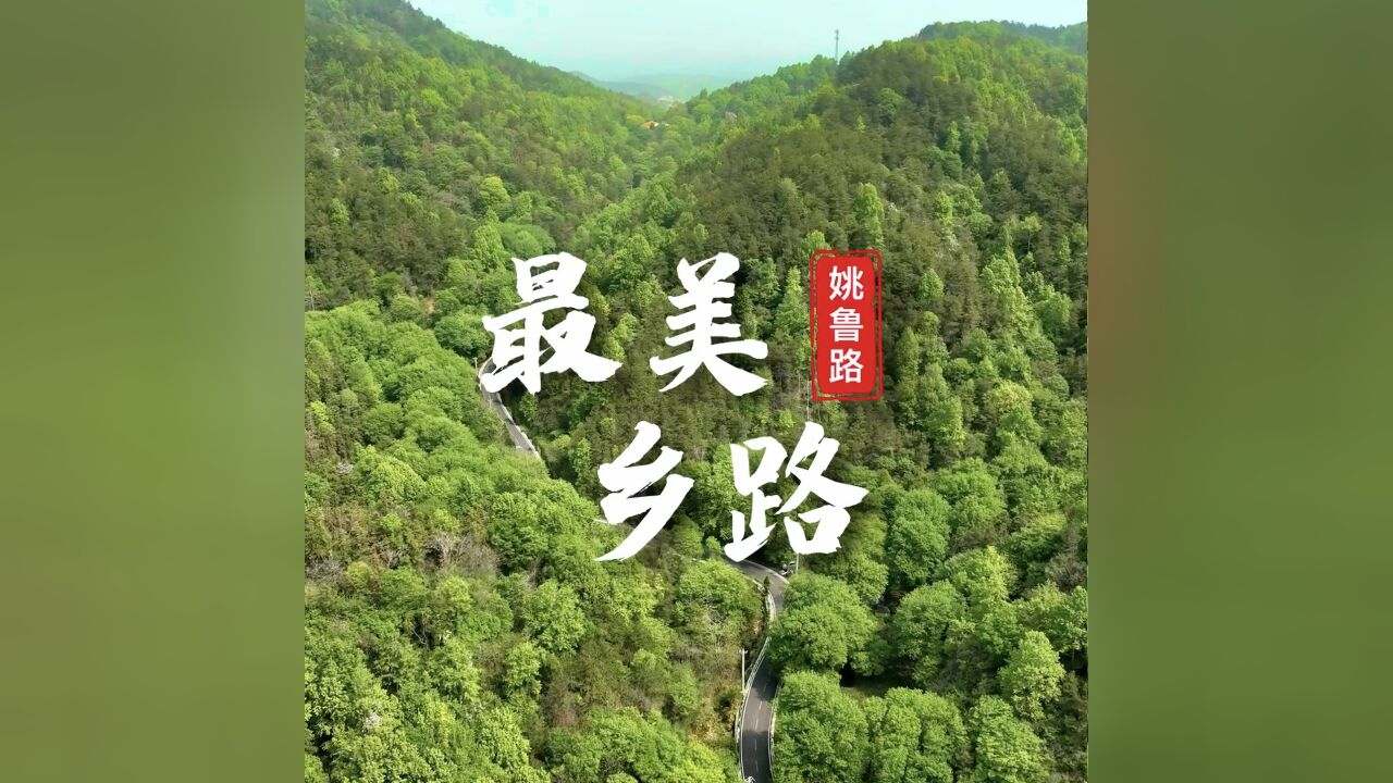 “最美乡路”姚鲁路:深秋暖阳万物藏,岁月沉香悦时光