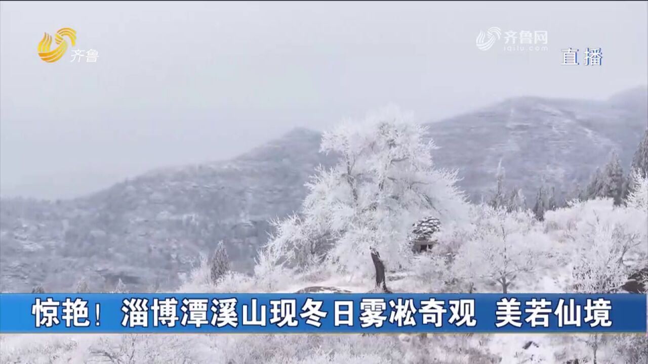 淄博潭溪山现冬日雾凇奇观,美若仙境令人惊艳,一起欣赏浪漫美景