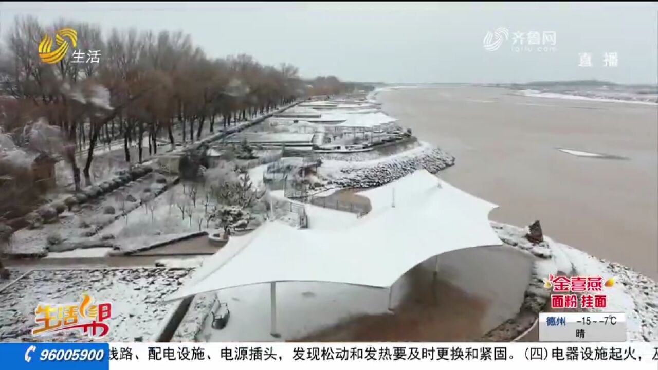 雪后东营黄河两岸风景独好,绿头鸭惬意遨游,尽显生态之美