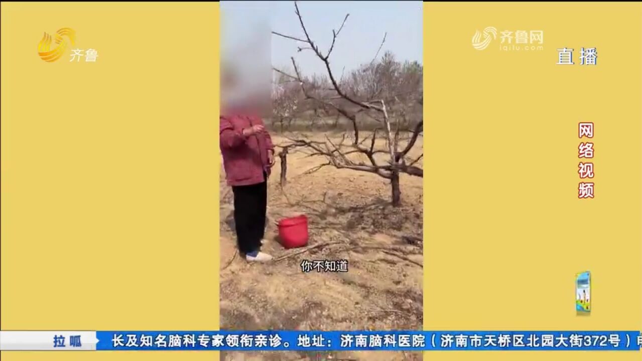 无语!桃园桃花正在盛花期,竟被大妈撸走拿去卖钱,主人很心疼