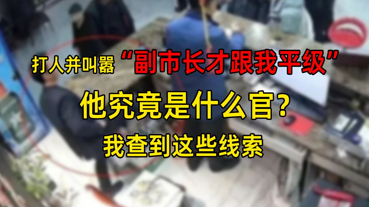 打人并叫嚣“副市长才跟我平级”他究竟是什么官?我查到这些线索