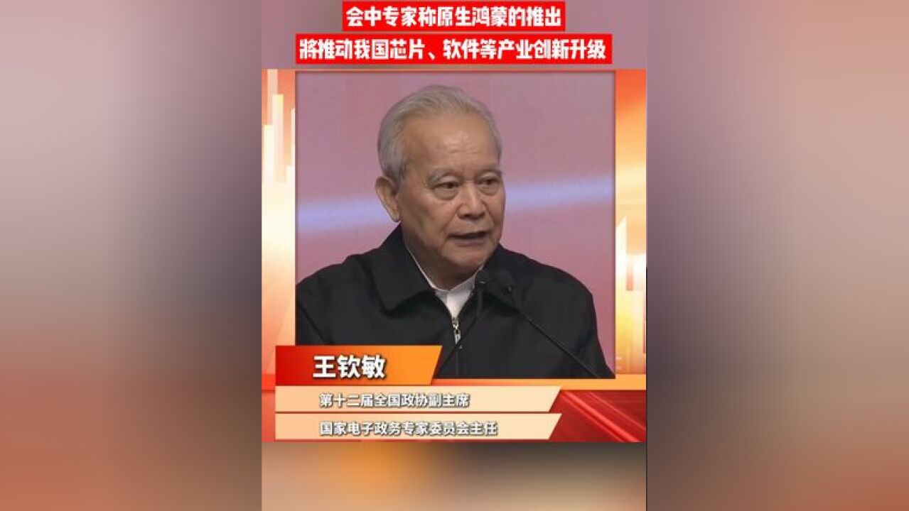 人民财经论坛暨数字经济大会召开,会中专家表示原生鸿蒙系统的推出,将推动我国芯片、软件、应用开发等相关产业创新升级