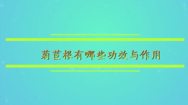 菊苣根有哪些功效与作用