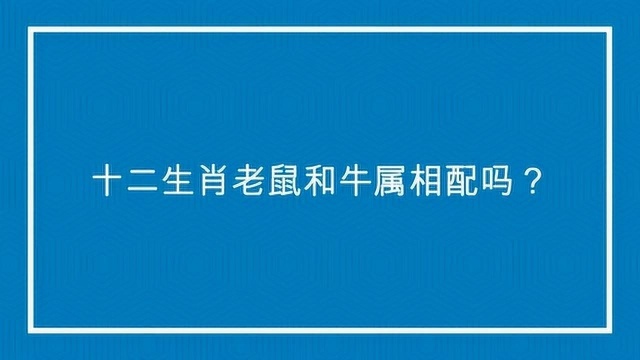 十二生肖老鼠和牛属相配吗?