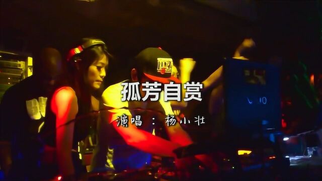 一首DJ《孤芳自赏》我承认 我自卑,超好听!