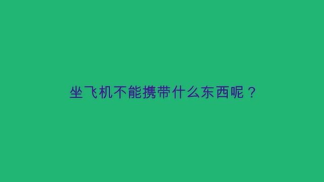 坐飞机不能携带什么东西呢?