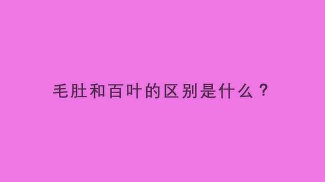 毛肚和百叶的区别是什么?