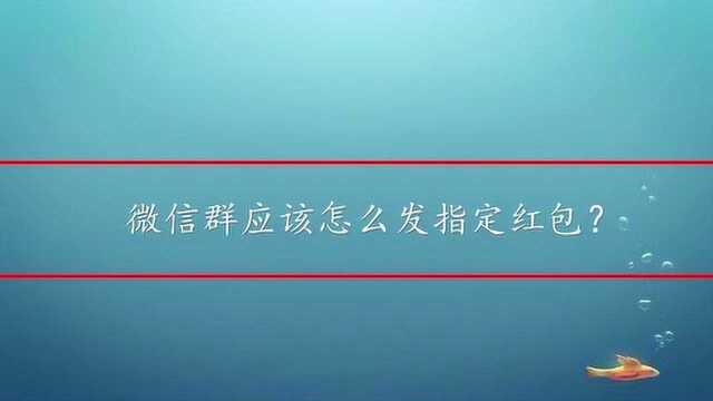 微信群应该怎么发指定红包?