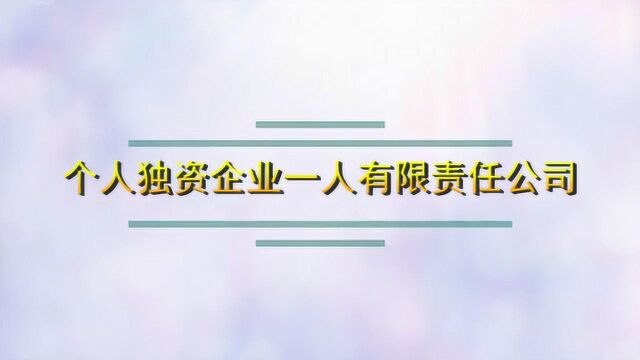 个人独资企业和一人有限责任公司的区别