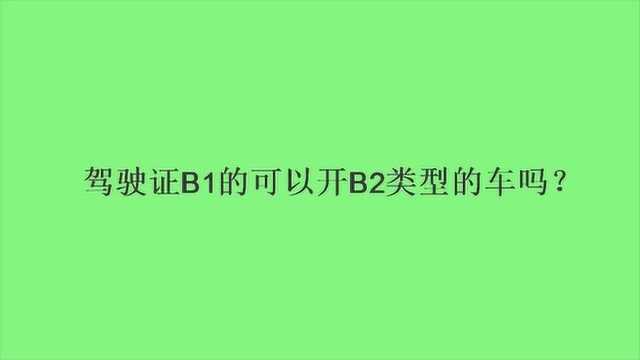 驾驶证B1的可以开B2类型的车吗?