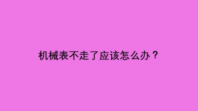 机械表不走了应该怎么办?