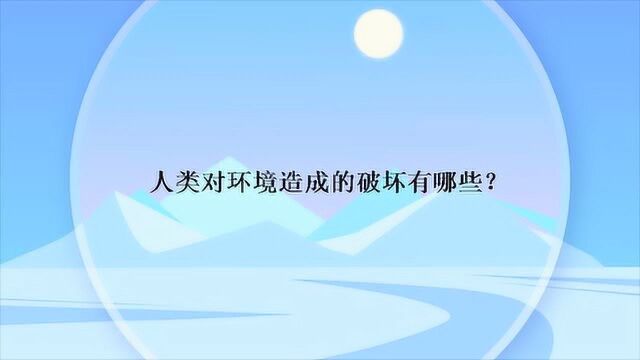 人类对环境造成的破坏有哪些?